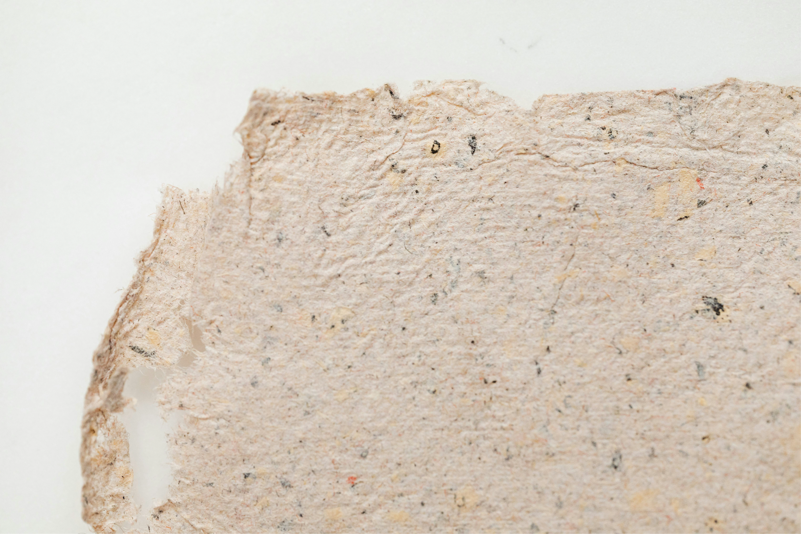Close-up of a textured beige surface with small particles on a white background